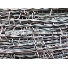 Hot-dip galvanized barbed wire price per roll